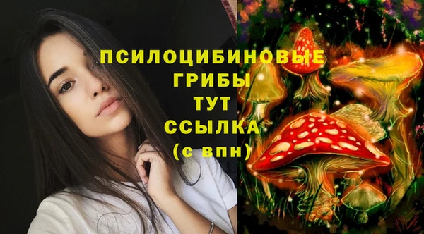 PSILOCYBIN Бугульма